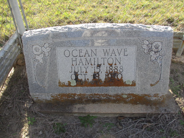 ocean wave hamilton