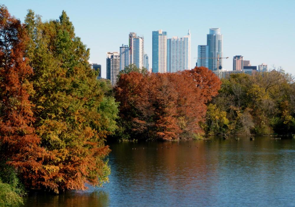 Town Lake to Downtown - Nov 14