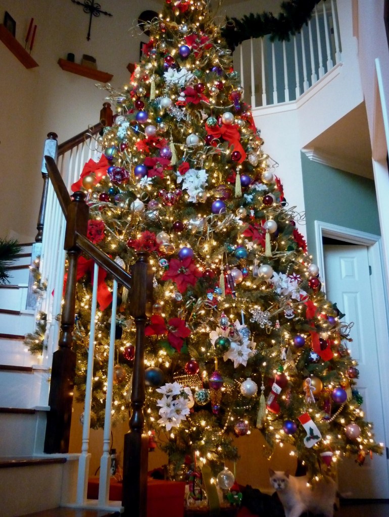 Christmas Tree and Cat - December 2014
