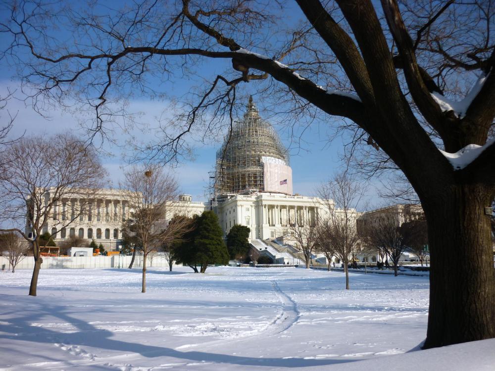 Capitol1 - February 2015
