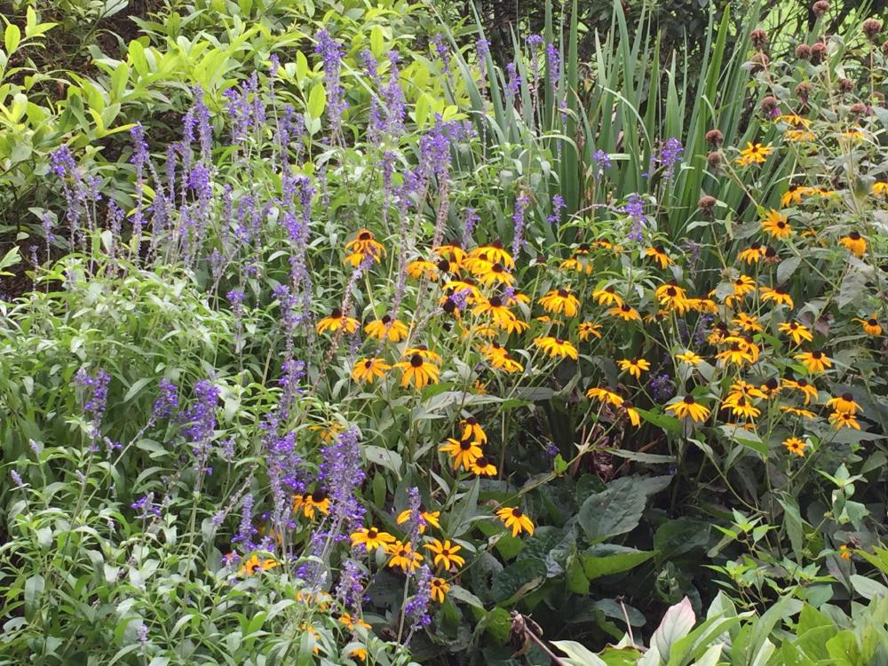 Jamestown Original Settlement - August 2015