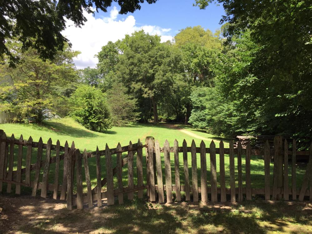 Williamsburg Field - August 2015