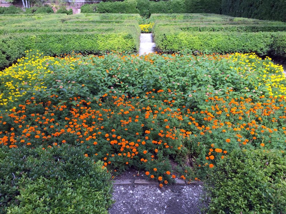 Williamsburg Governor's Palace Gardens1 - August 2015