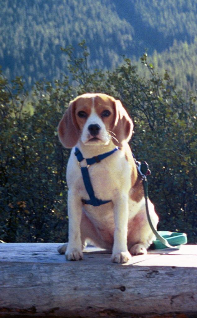 Canadian Roadtrip 00008