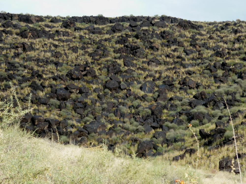 Lava Field - Petroglyph National Monument - Albuquerque NM - October 2015