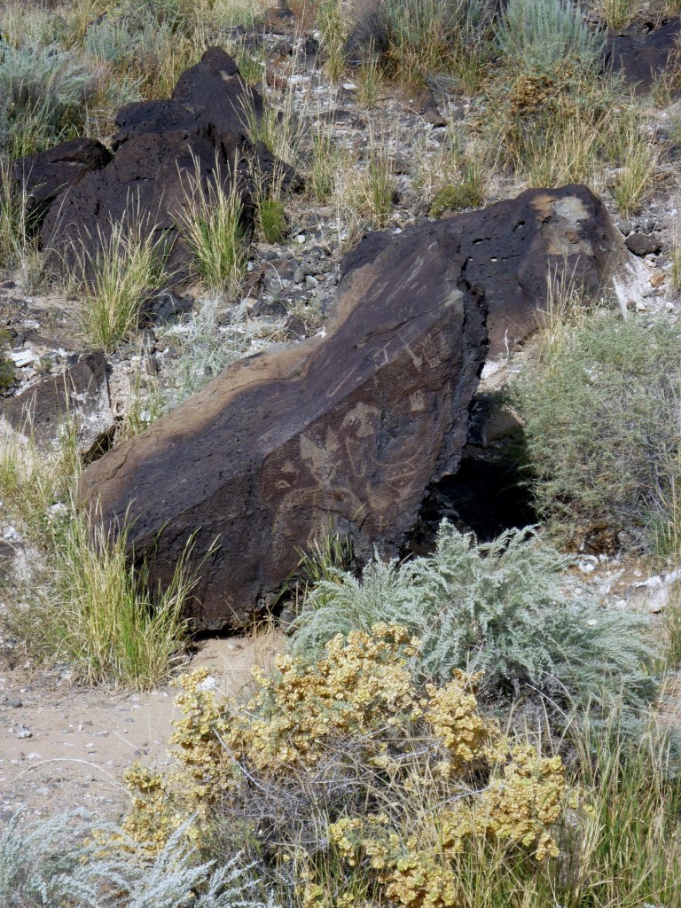 Petroglyphs - Petroglyph National Monument - Albuquerque NM - October 2015