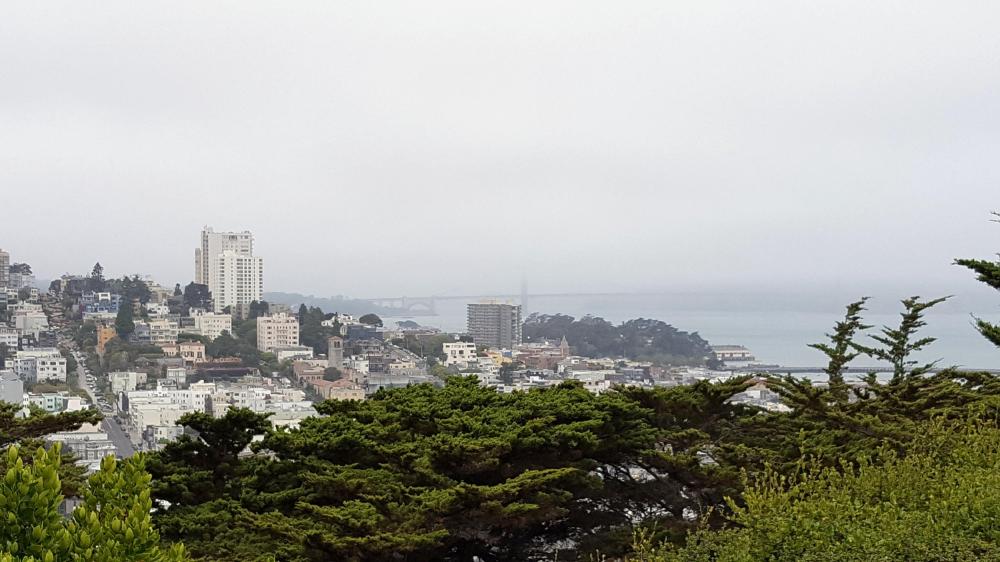 SF - Coit Tower View