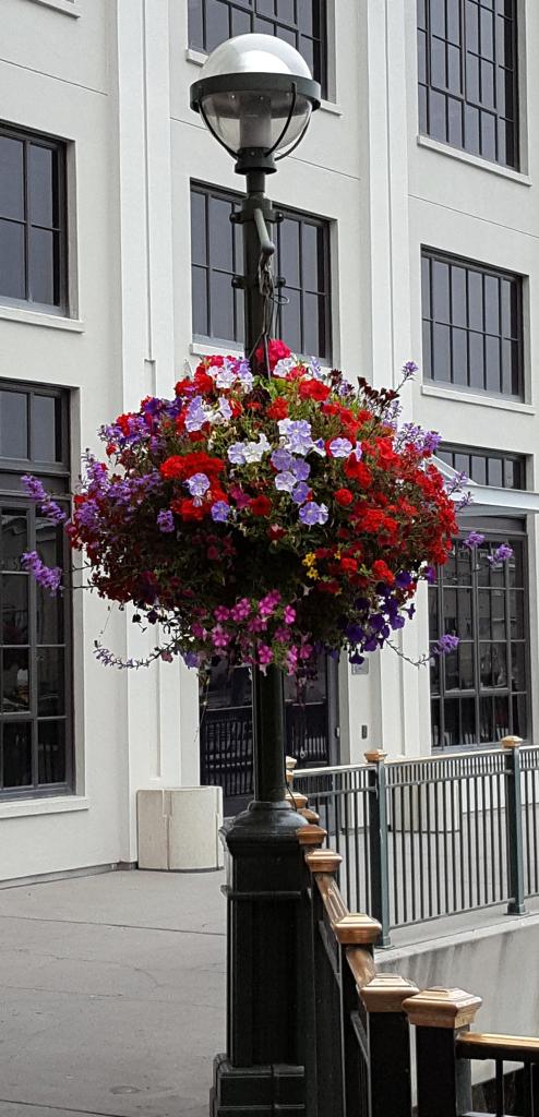 SF - Embarcadero Boardwalk
