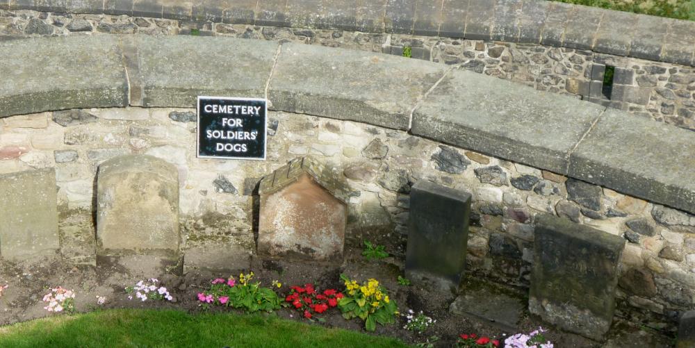 edinburgh-castle-dogs-cemetery