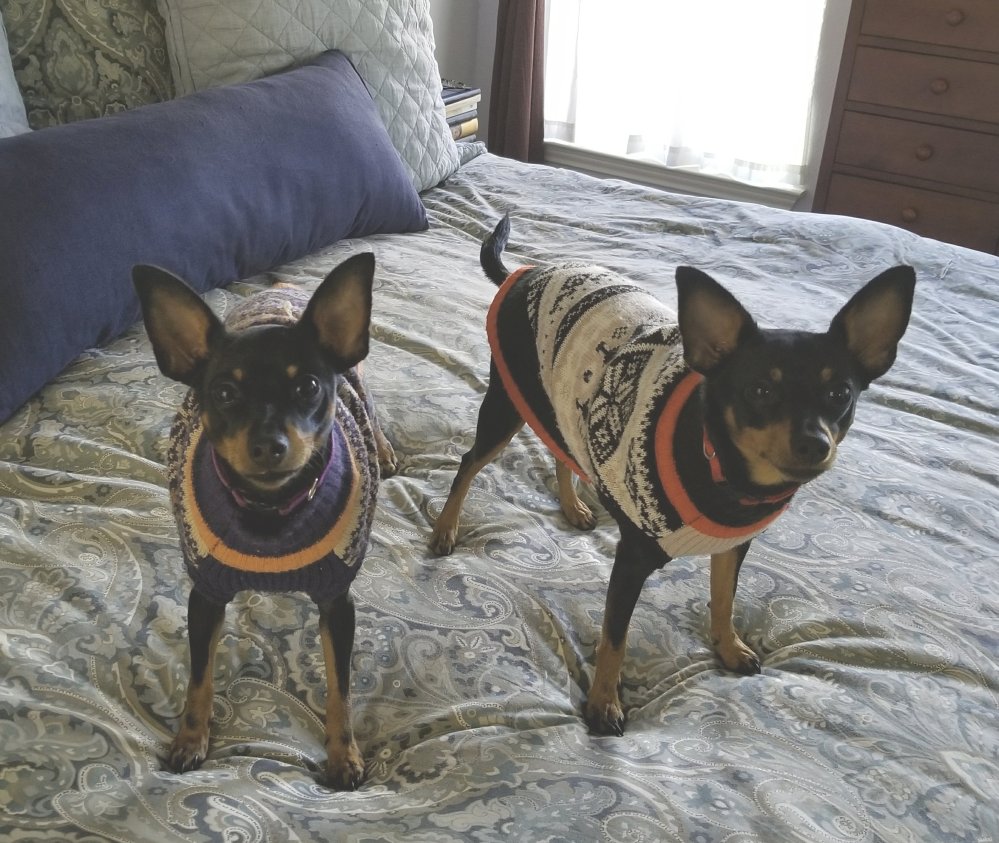 Mabel and Fannie (12-25-17)