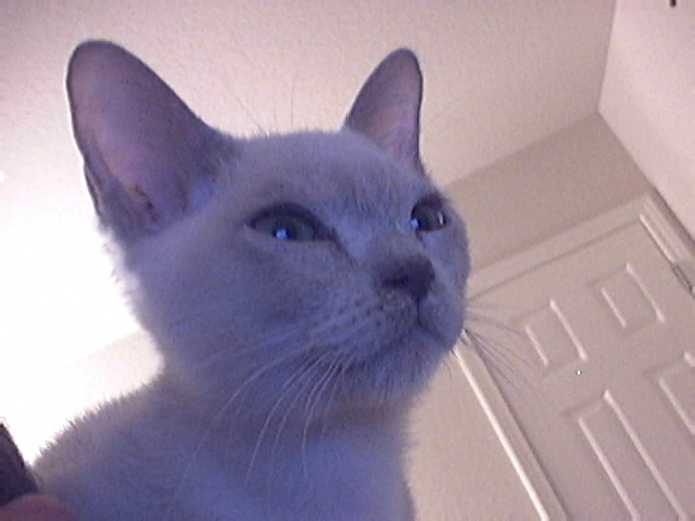 Charles on Day 1 (7)