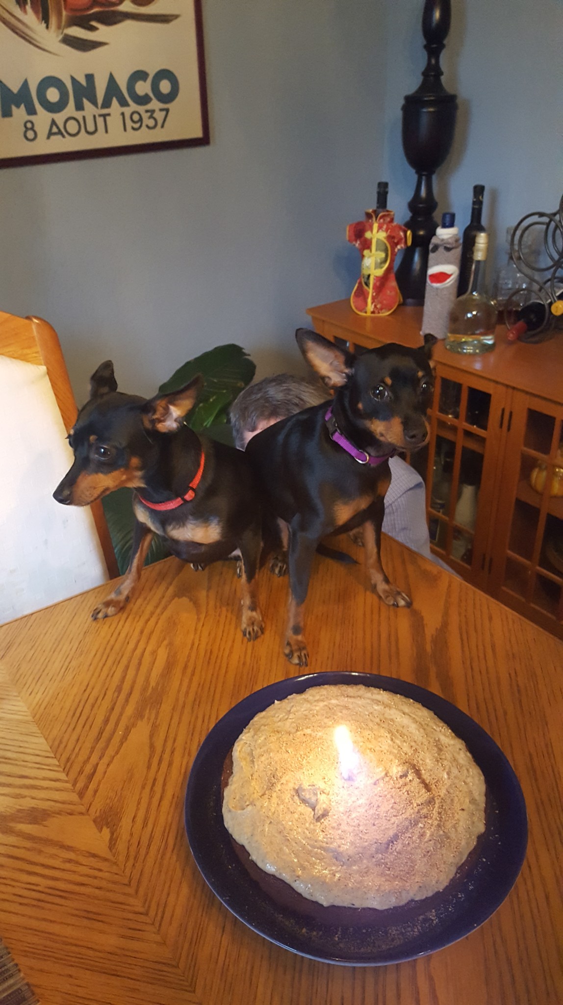 Fannie and Mabel's First Birthday (10)