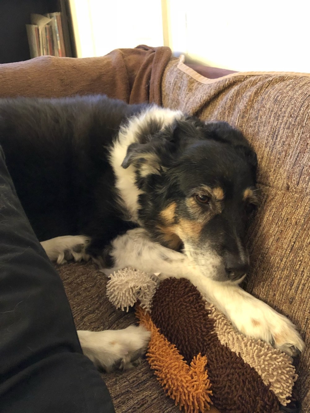 Willow and her monkey